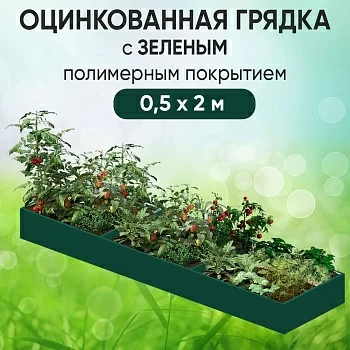 Грядка зеленая (0,5 х 2)